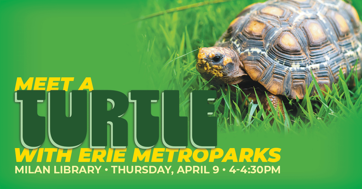 2026-04-CHILDRENS-Milan-Turtle-event